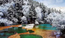 成都九寨沟最新爆料